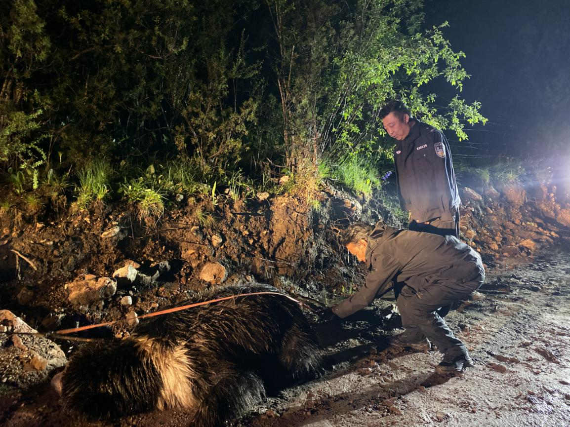 Դҹ@ɭְֹoօ^(q)ɳD