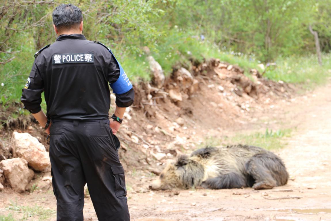 Դ(gu)ҹ@ɭְֹo(h)օ^(q)ɳD