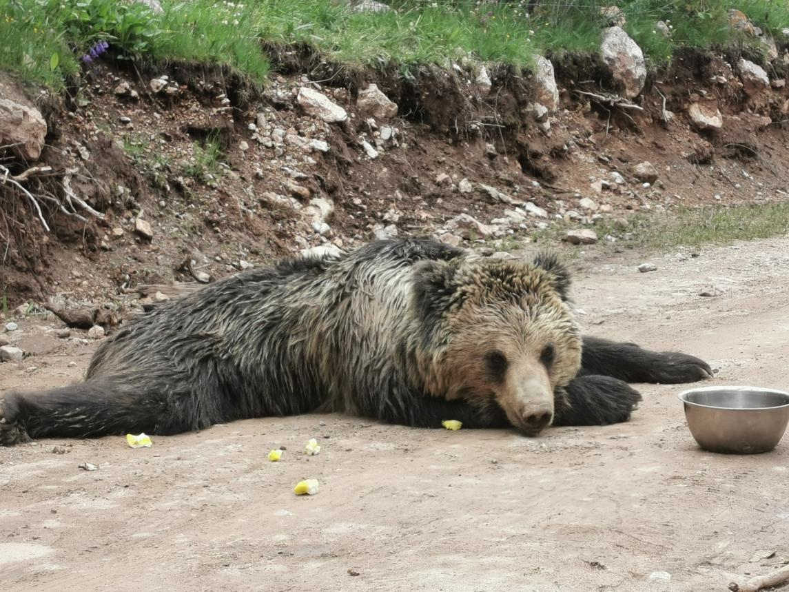 Դ(gu)ҹ@ɭְֹo(h)օ^(q)ɳD