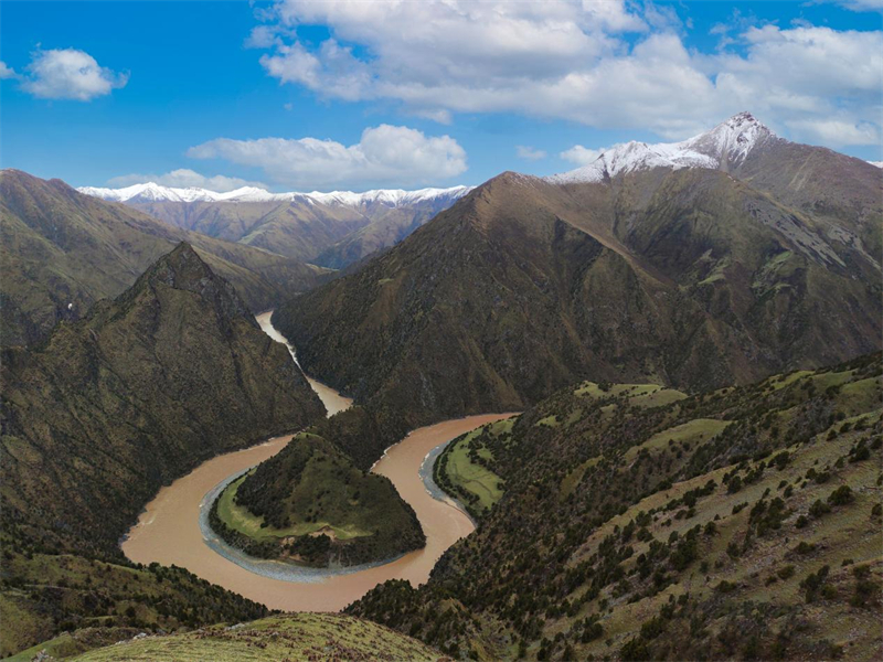 ԴDƬԴrȻzӰ