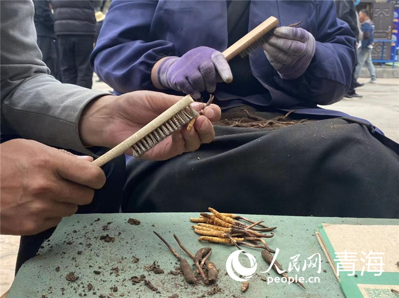 x̑ϴˢxW(wng) 쳷Ɣz