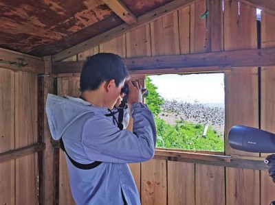 Bɽҹ@ຣƬ^(q)骔z