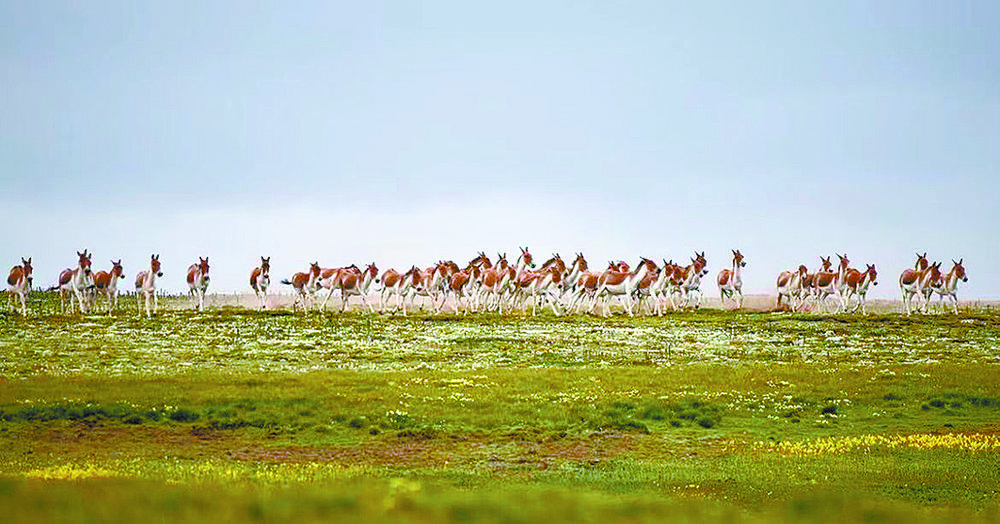 ֏(f)NȺ(sh)ĲҰHڬĲԭ(bo)ӛ dl(f) z