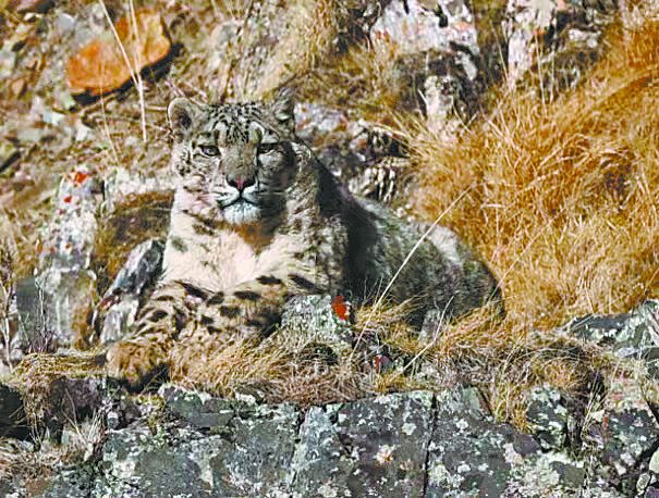 SB(ti)h(hun)׃Ұ(dng)ԽԽࡣ(bo)ӛ ̻ ͨӍT shýw z