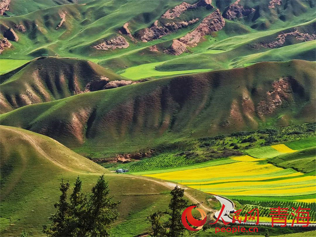 祁連山的秀美曲線。本報記者 姜峰攝