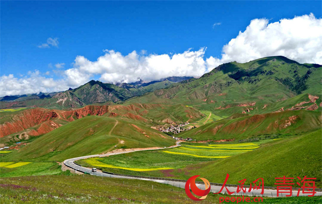 夏日祁連。本報記者 姜峰攝