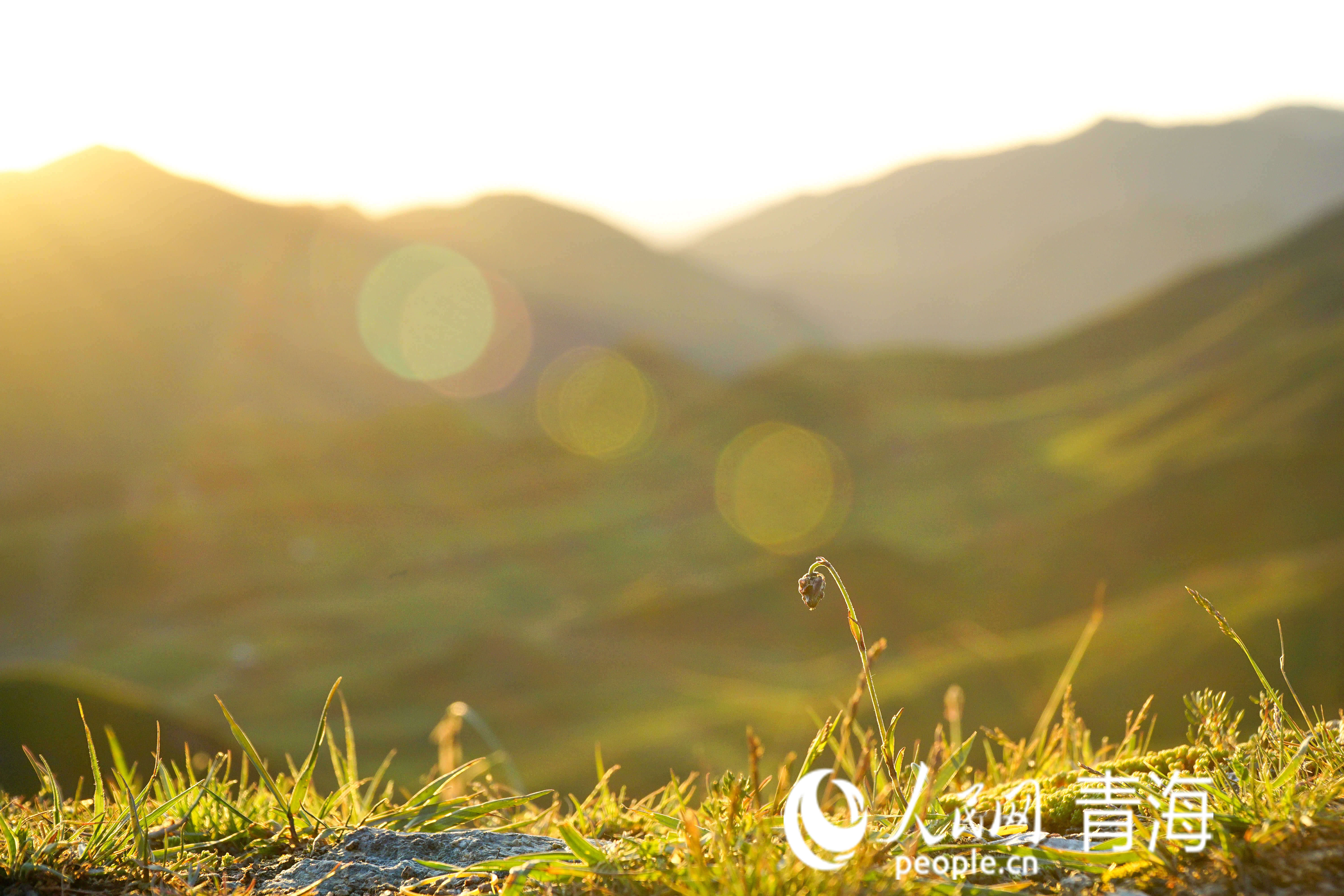 陽光滋養(yǎng)著大地。人民網(wǎng) 況玉攝