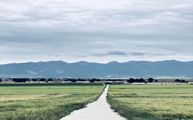 祁連山腹地美景。華旦才讓攝