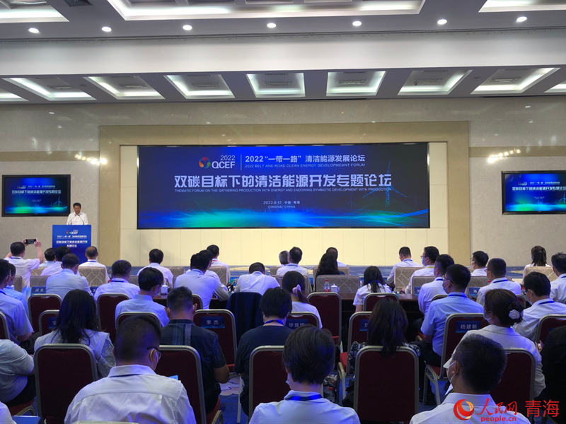 “雙碳目標(biāo)下的清潔能源開發(fā)”專題論壇現(xiàn)場(chǎng)。人民網(wǎng) 劉沛然攝