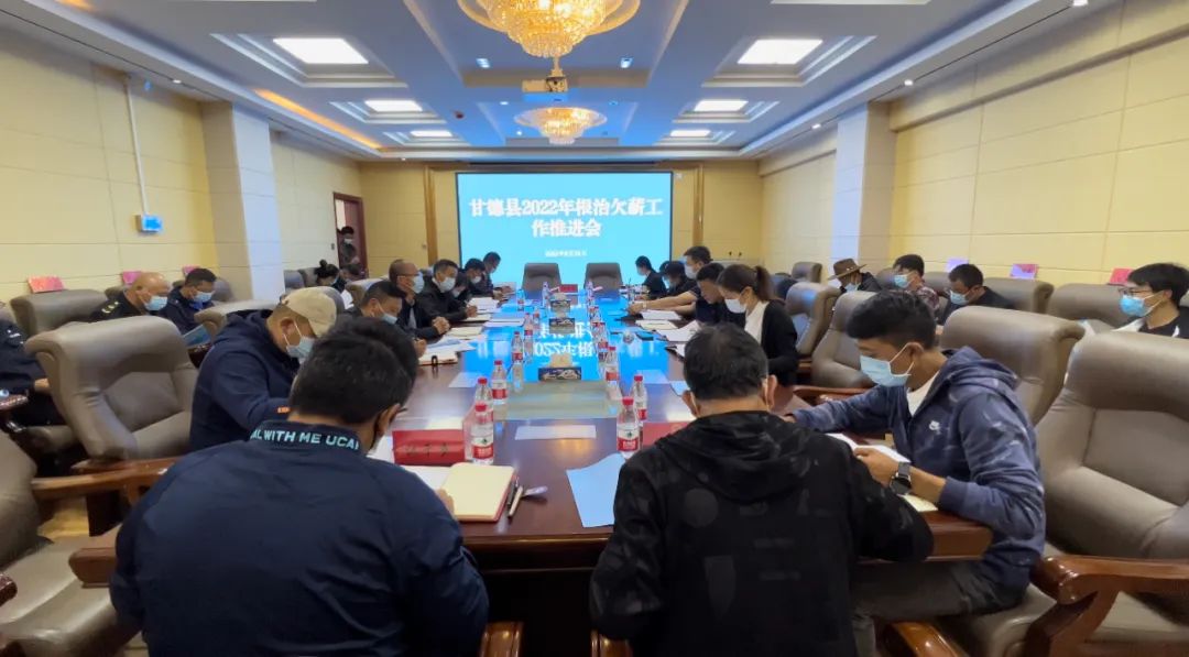 工作會(huì)現(xiàn)場(chǎng)。甘德縣委宣傳部供圖