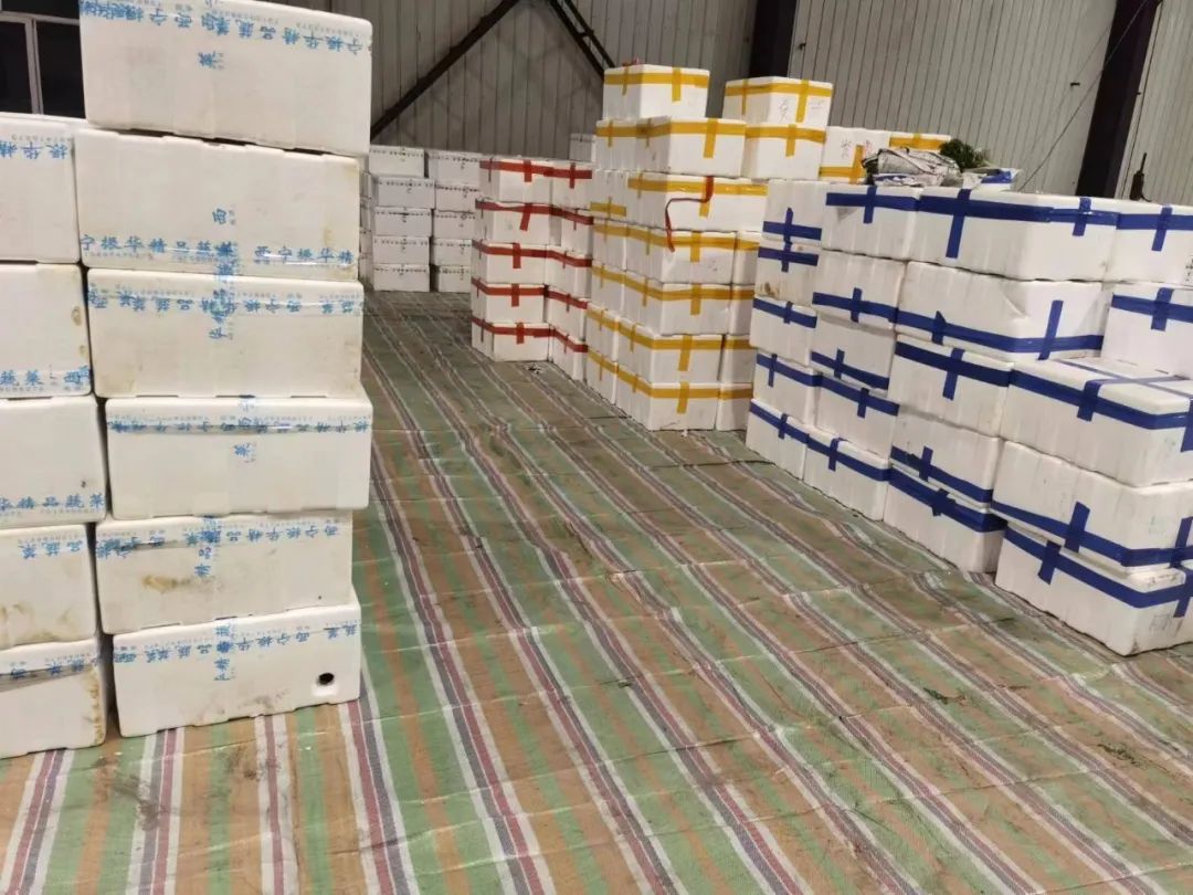 城東區(qū)臨時(shí)蔬菜批發(fā)市場(chǎng)物資儲(chǔ)備。城東區(qū)市委宣傳部供圖