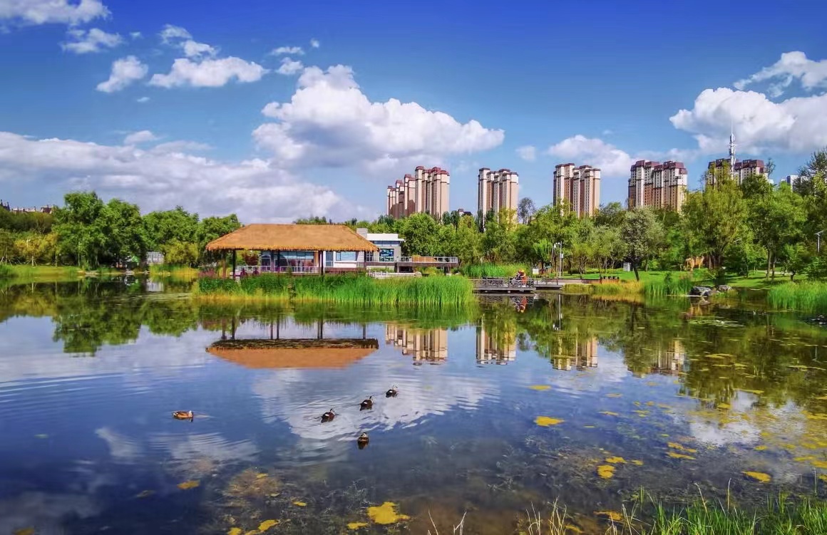 城市濕地。西寧市河湖長(zhǎng)制辦公室供圖