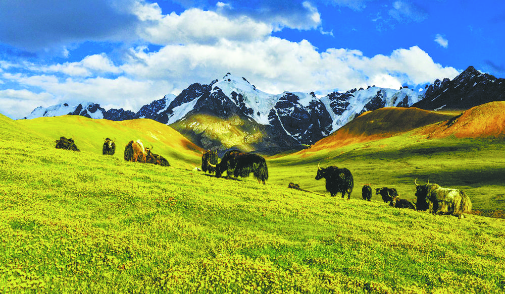 江源景色。玉樹(shù)州生態(tài)環(huán)境局供圖