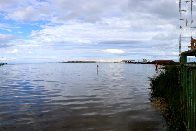 青海湖水生態(tài)環(huán)境保護(hù)修復(fù)典型案例-治理后