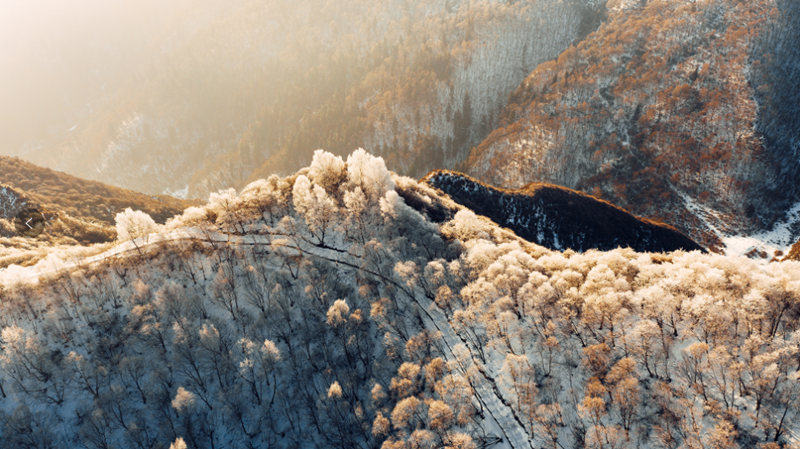 “林海雪原”卡陽(yáng)。西寧市文化旅游廣電局供圖