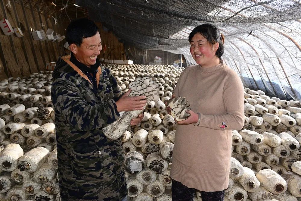 群眾喜獲豐收。海西州委宣傳部供圖