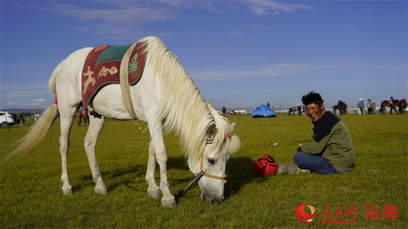 歡聚草原。人民網(wǎng) 況玉攝
