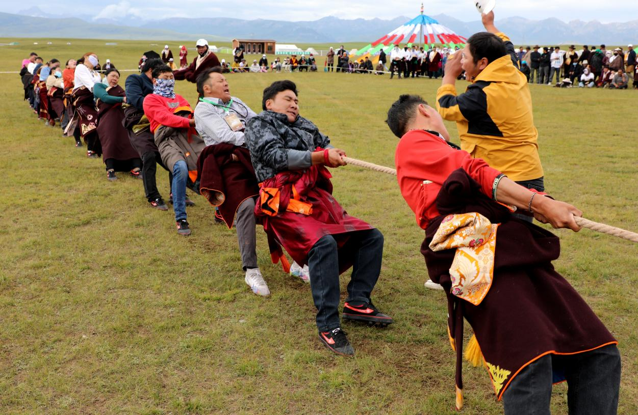 大象耕地比賽。昂旦攝