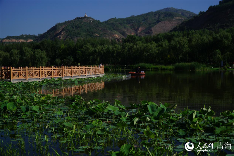 北山美麗園。人民網 況玉攝