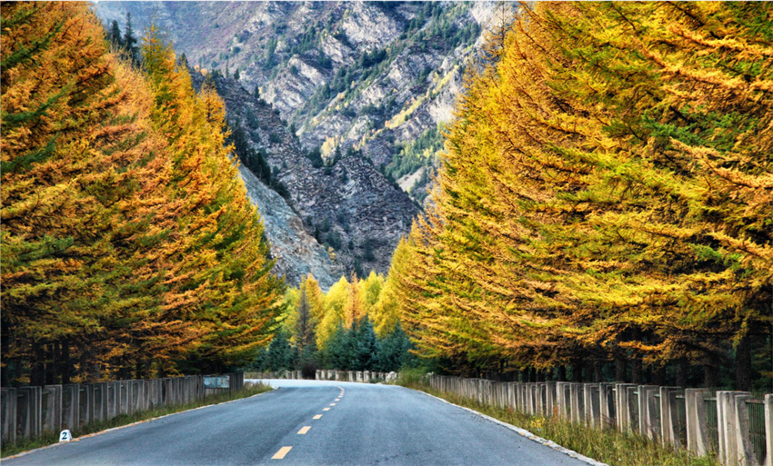 生態(tài)澤庫。澤庫縣委宣傳部供圖