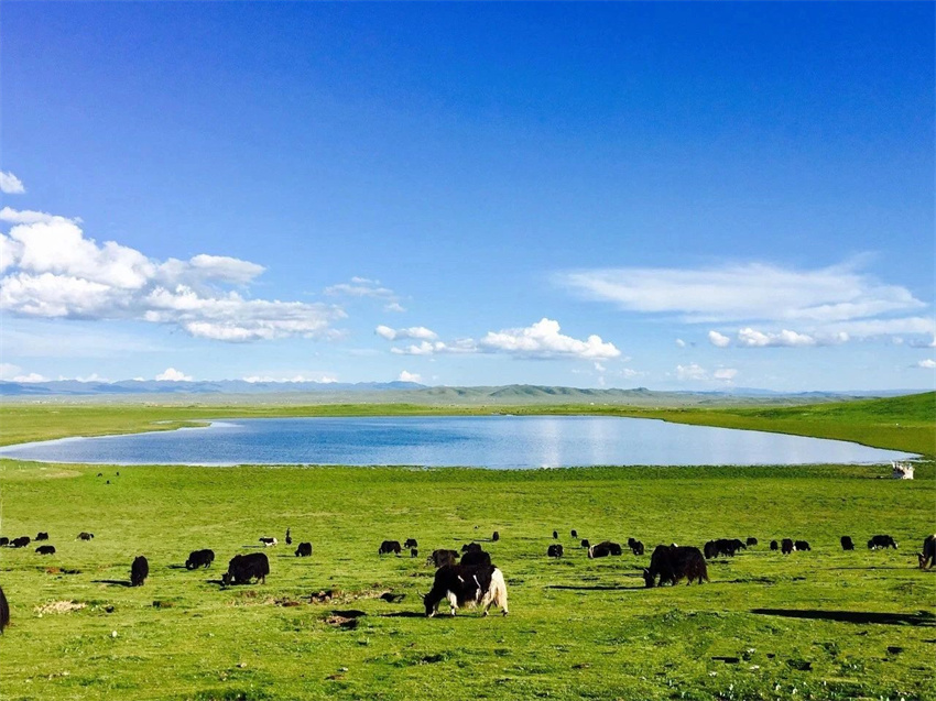 生態(tài)澤庫。澤庫縣委宣傳部供圖