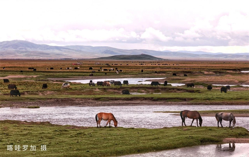 生態(tài)澤庫。澤庫縣委宣傳部供圖