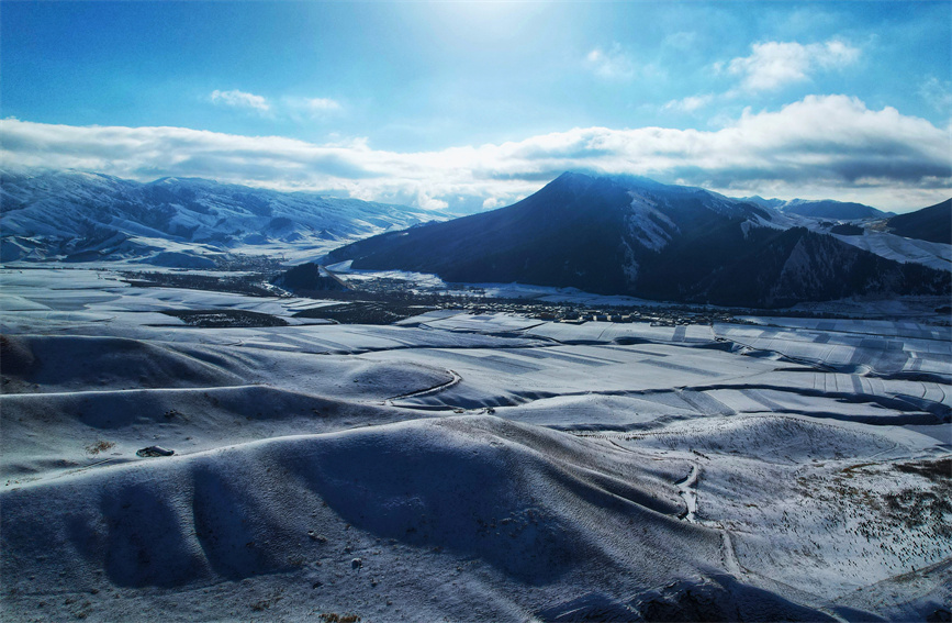 春雪覆蓋草原。安雪姣攝