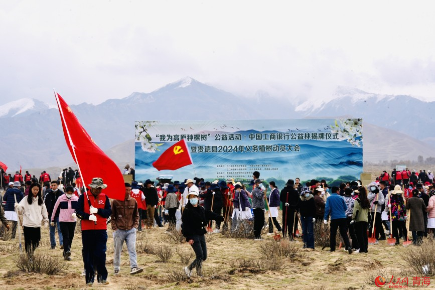 公益植樹活動現(xiàn)場。人民網(wǎng) 顧斐菲攝