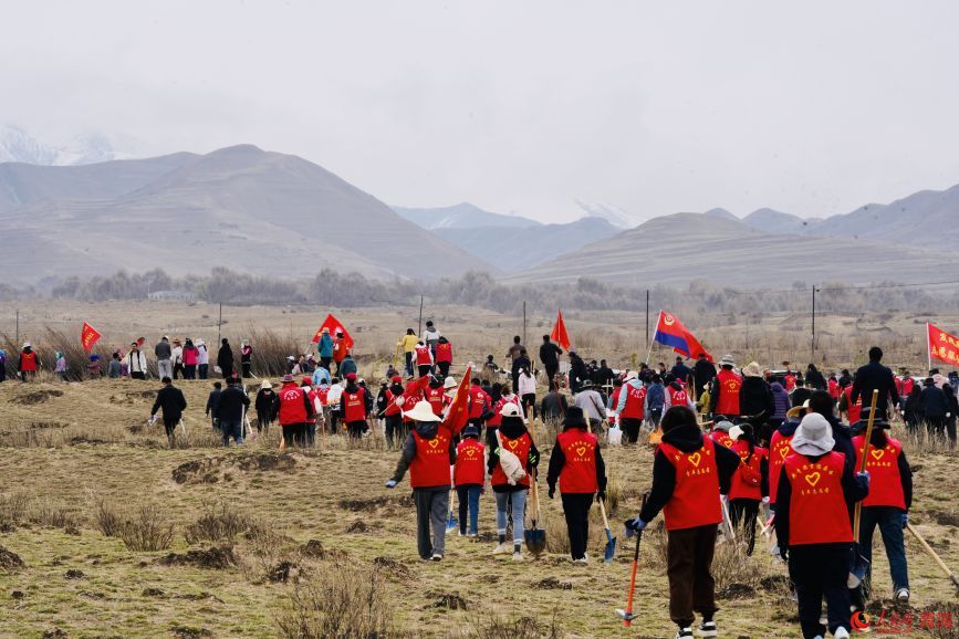 植樹活動現(xiàn)場。人民網(wǎng) 顧斐菲攝