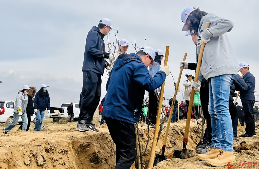 植樹活動現(xiàn)場。人民網(wǎng) 顧斐菲攝