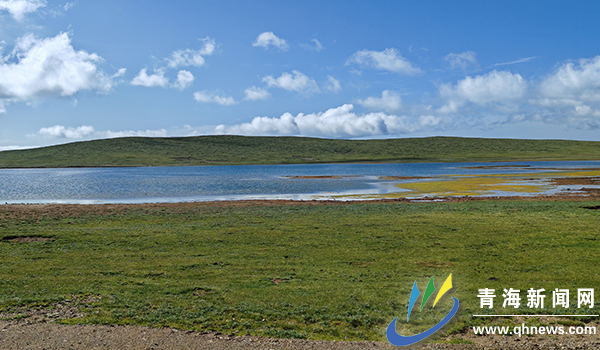 夏日的鄂陵湖濕地?？琢罾跀z