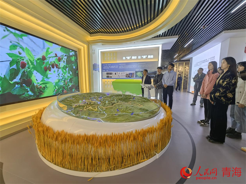 采訪團(tuán)參觀展館。人民網(wǎng) 馬可欣攝