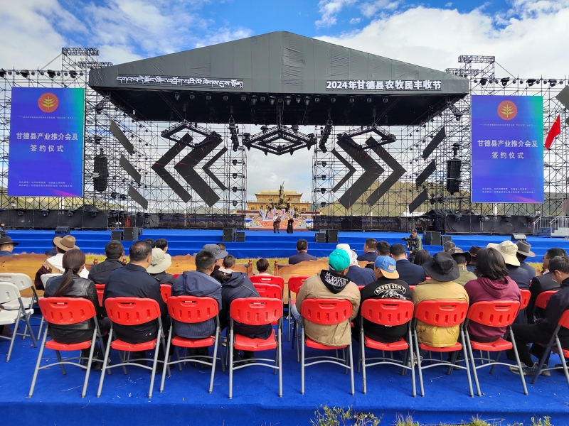 簽約儀式現(xiàn)場(chǎng)。甘德縣委宣傳部供圖