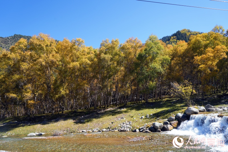 色彩斑斕秋景美。人民網(wǎng) 顧斐菲攝