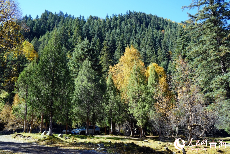 色彩斑斕美如畫。人民網(wǎng) 顧斐菲攝