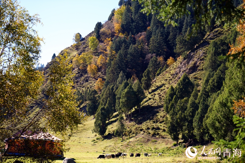 色彩斑斕美如畫。人民網(wǎng) 顧斐菲攝