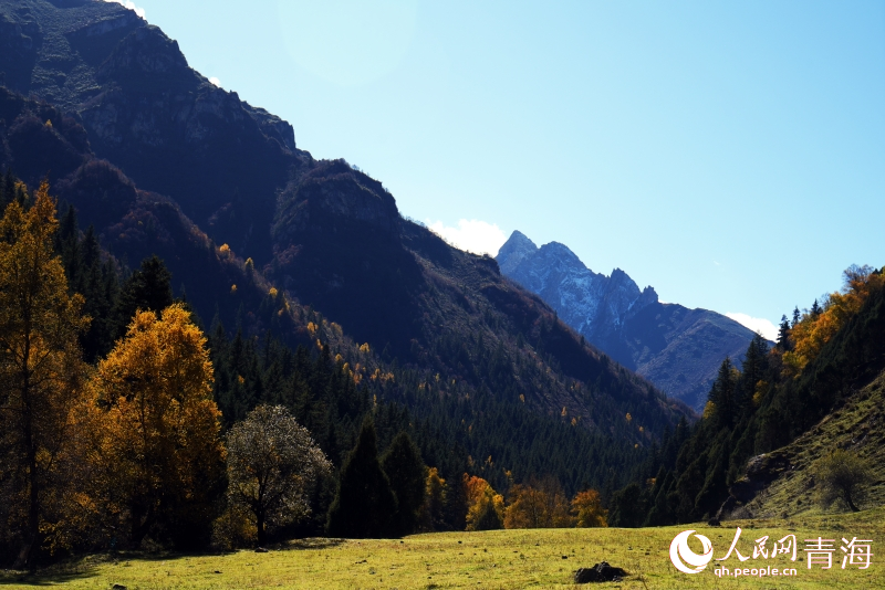 秋景斑斕美如畫。人民網(wǎng) 顧斐菲攝