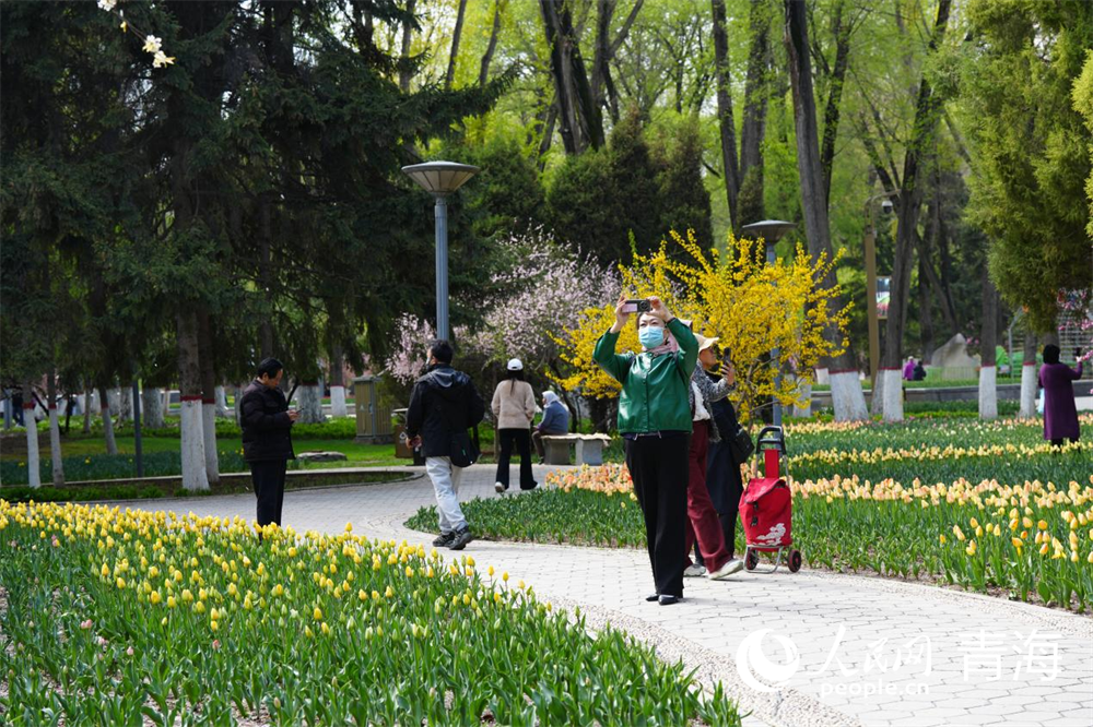 市民在公園內(nèi)記錄美景。人民網(wǎng) 馬可欣攝