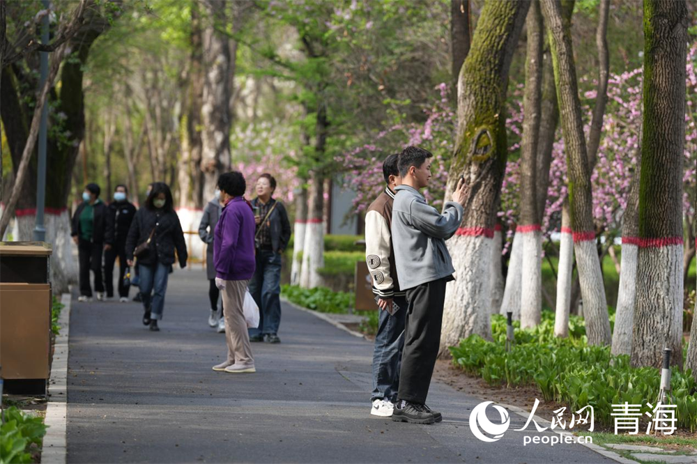 市民觀賞拍照公園美景。人民網(wǎng) 馬可欣攝