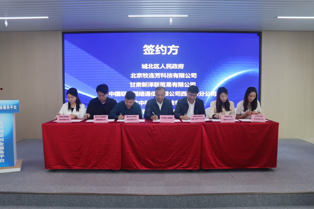 集中簽約。城北區(qū)委宣傳部供圖