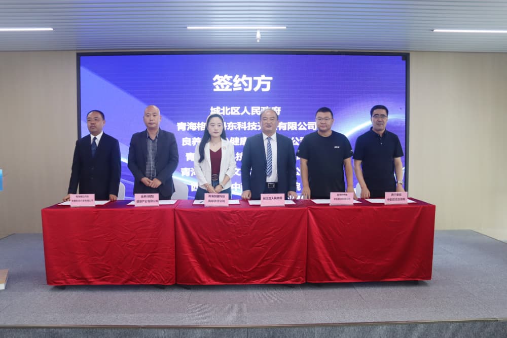 集中簽約。城北區(qū)委宣傳部供圖