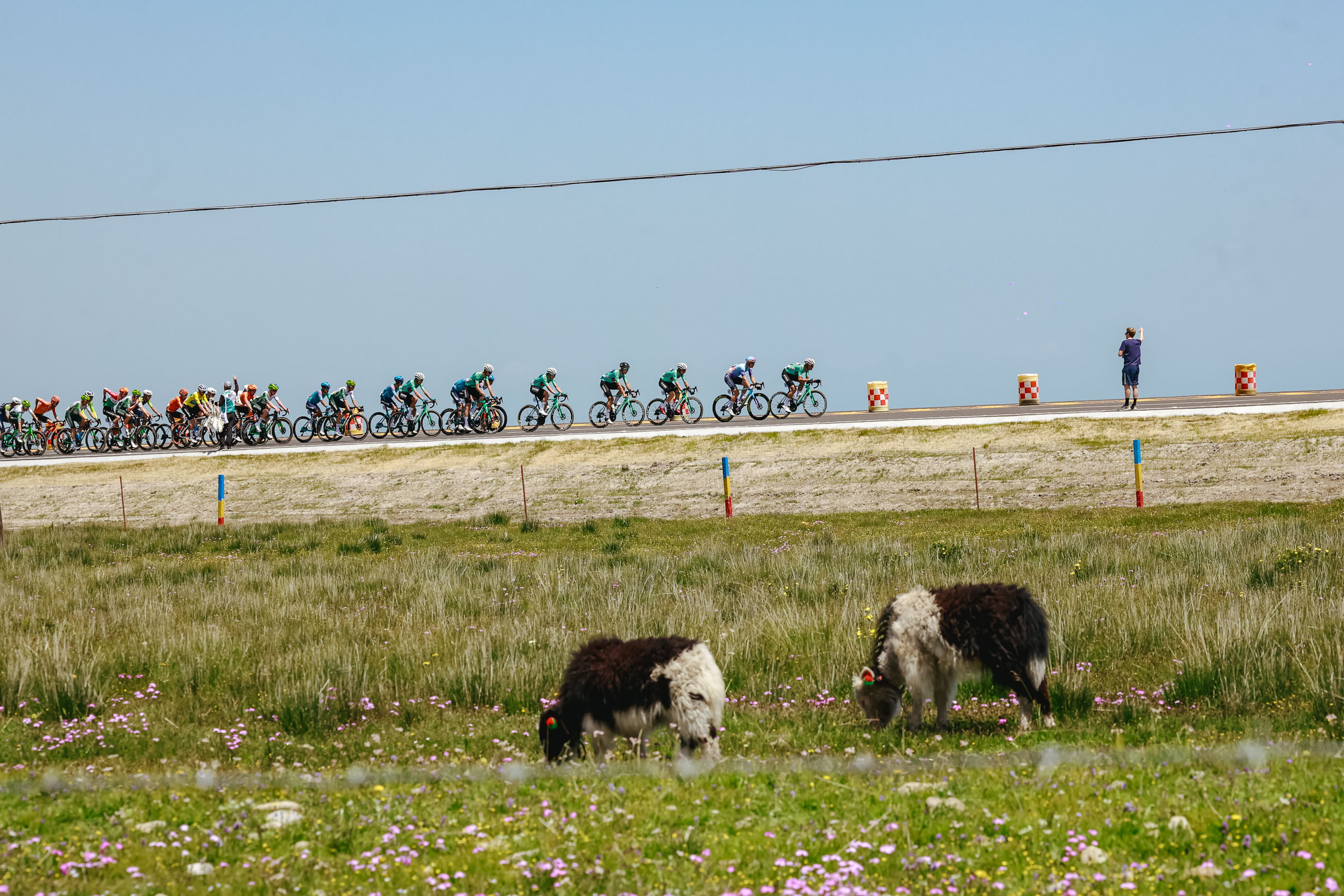 第六賽段：剛察 – 共和