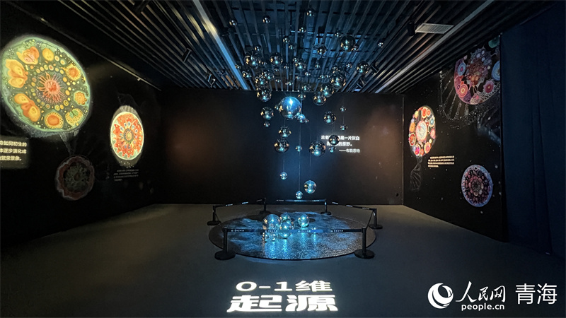 數(shù)字藝術(shù)展現(xiàn)場。實(shí)習(xí)生 吳桐攝