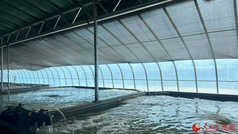 養(yǎng)殖大棚。人民網(wǎng) 況玉攝