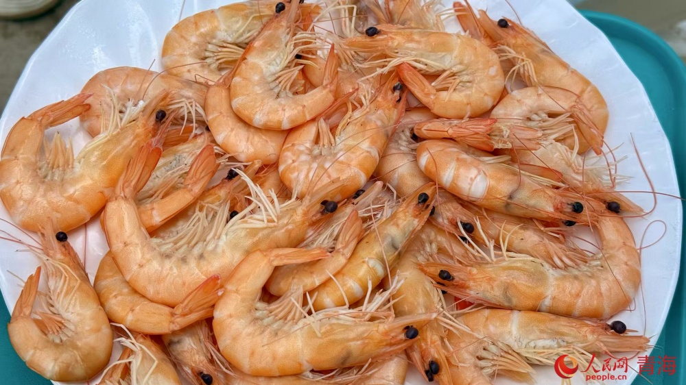 高原養(yǎng)殖的對蝦鮮甜可口。人民網(wǎng) 況玉攝