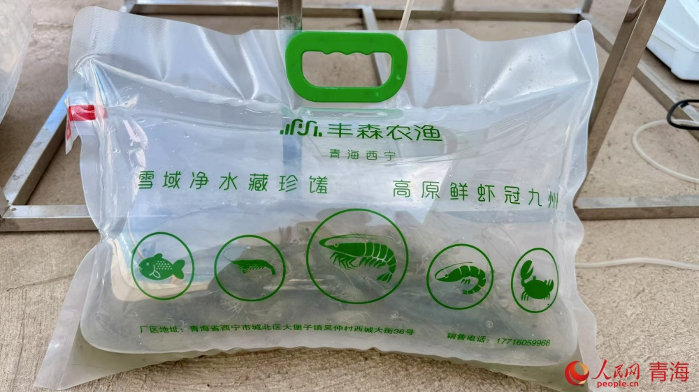 打包好的對蝦。人民網(wǎng) 況玉攝