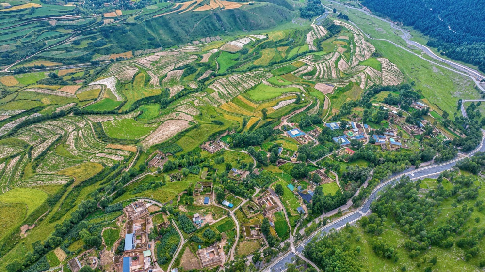 漫山樹木褪去盛夏濃綠。宋忠勇攝