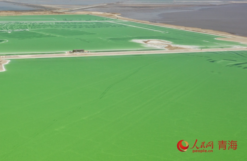 察爾汗鹽湖。人民網(wǎng)記者 張力洋攝