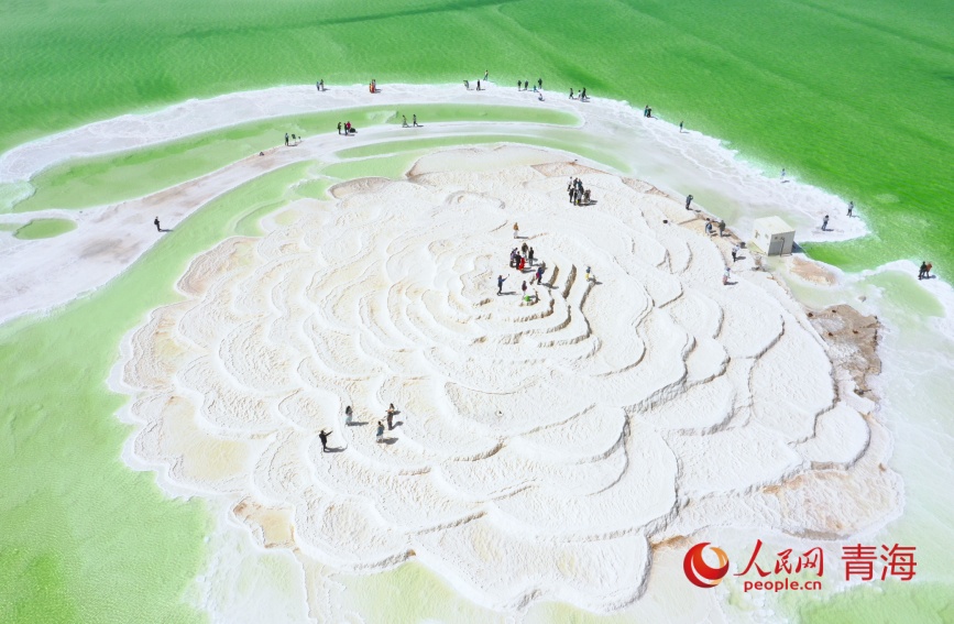 察爾汗鹽湖大鹽花。人民網(wǎng)記者 張力洋攝