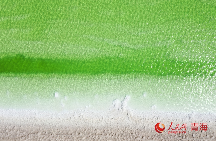 夢(mèng)幻鹽湖。人民網(wǎng)記者 甘海瓊攝